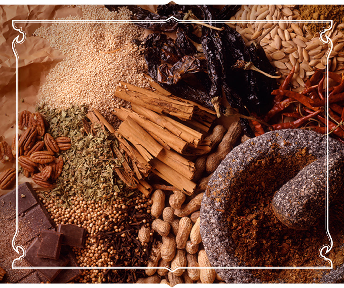 El-Popular_Authentic-Mexican-Food-Products_Snacks-Starters-Recipes_Mole-Rub_Mobile