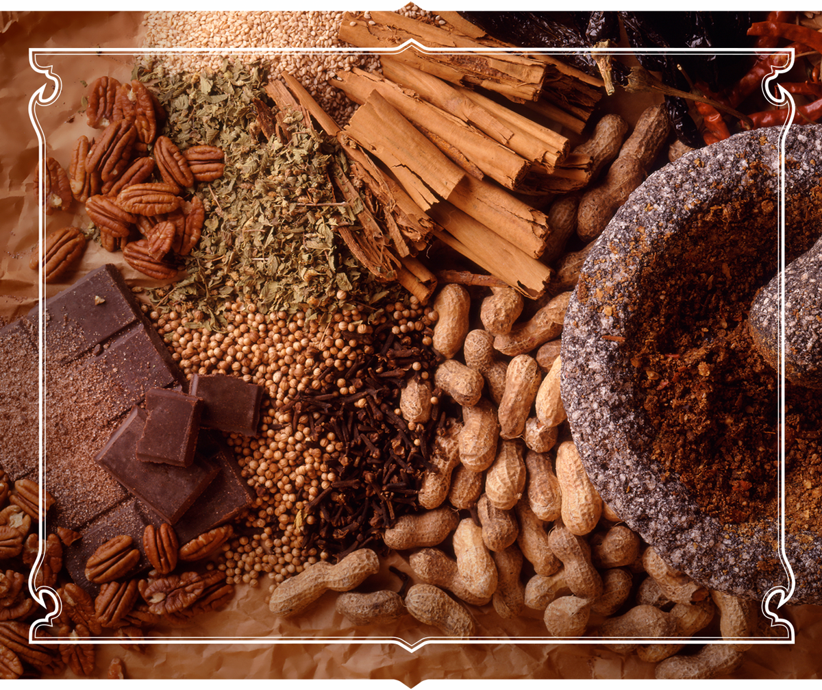 El-Popular_Authentic-Mexican-Food-Products_Snacks-Starters-Recipes_Mole-Rub_Mobilee